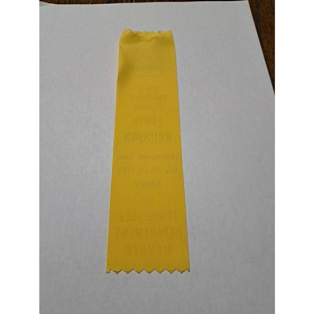 1995 SCV Sons Confed Veterans 100th Reunion Chattanooga TN Dept Member Ribbon